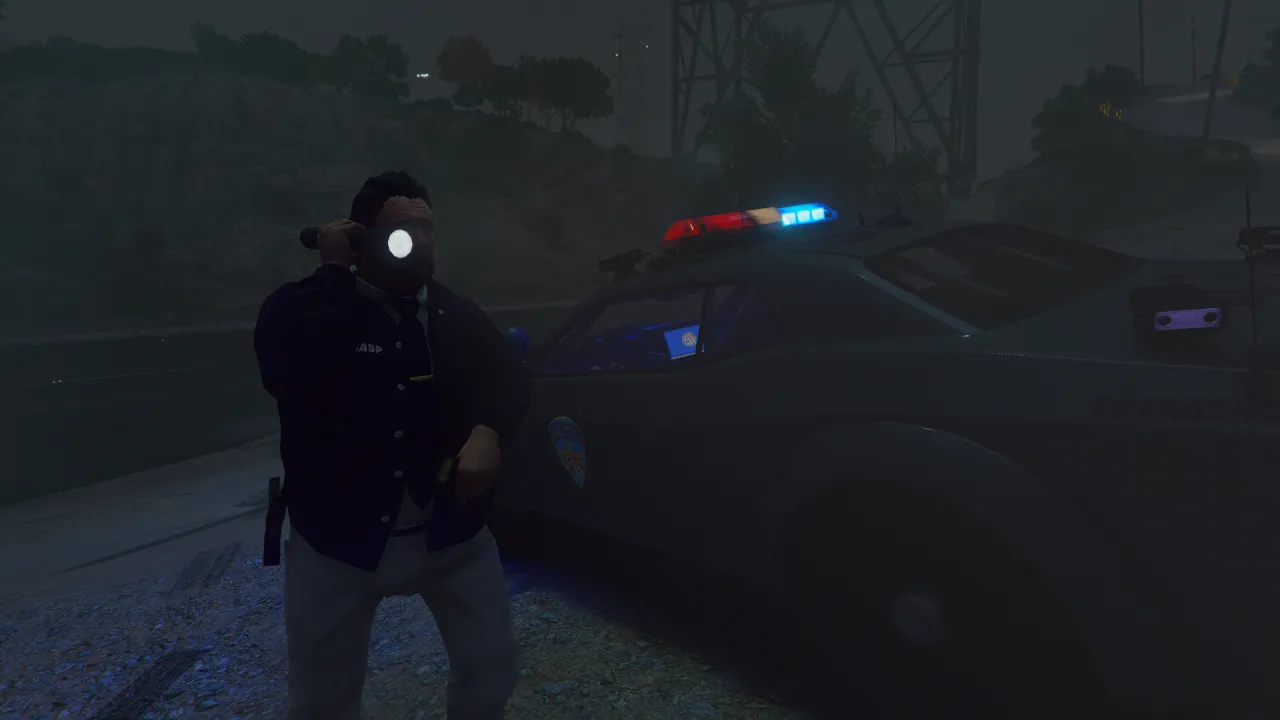 Rooster Craw holds a flashlight at night next to a patrol car with a lit roof lightbar in FiveM