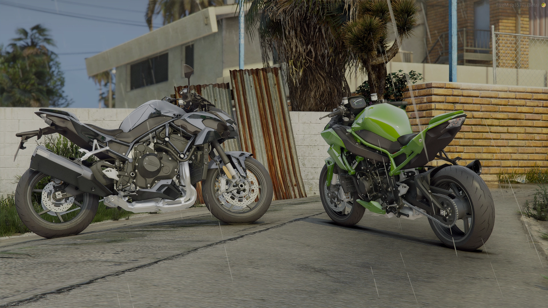 Kawasaki Z H2 (2020) silver and green pair in side and rear view in a residential yard with palm trees