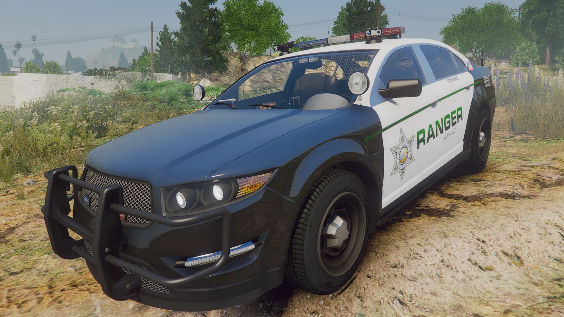Police Cruiser V1 in black and white Ranger livery with a green stripe, angled front on a grassy FiveM trail