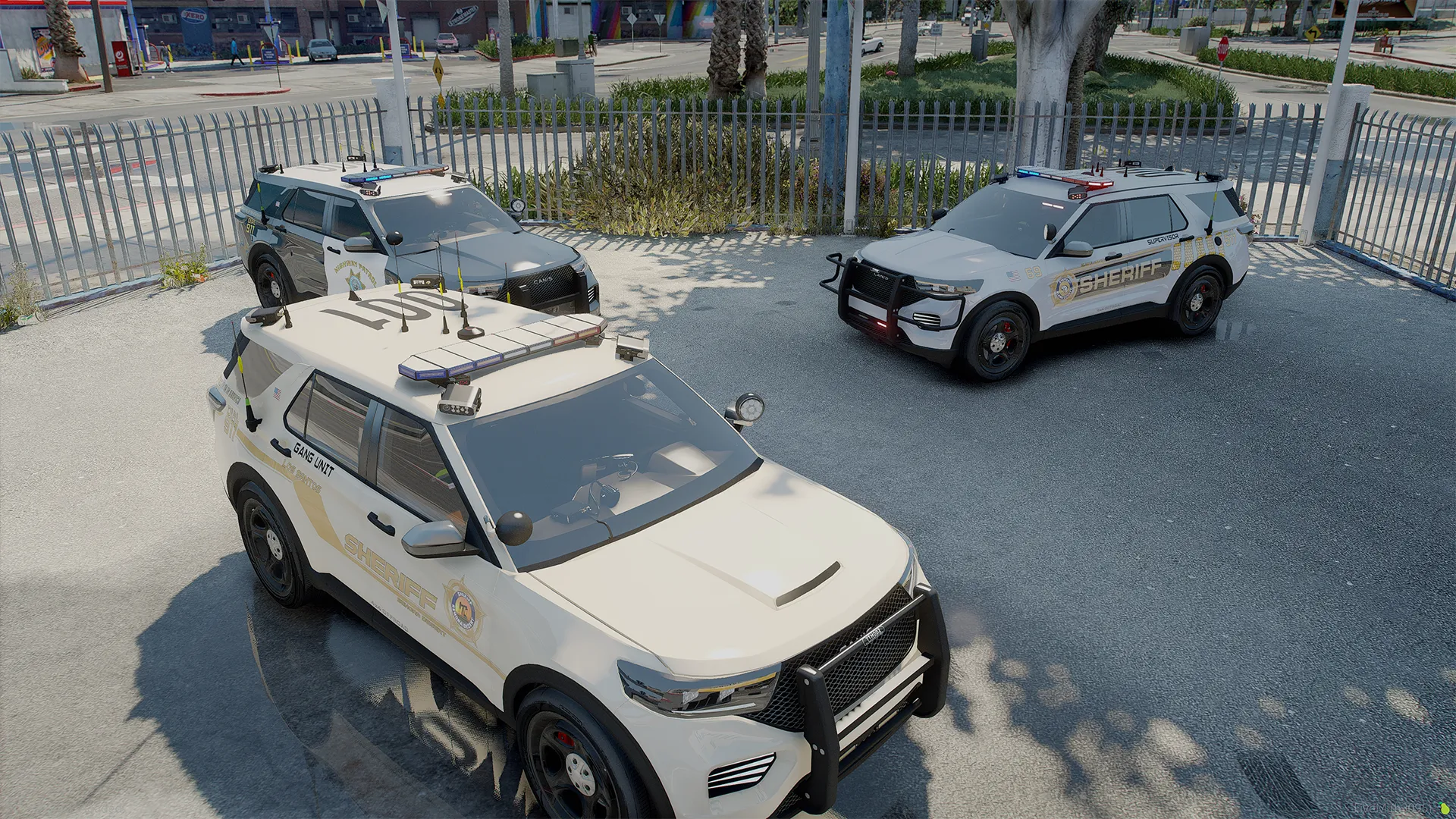 Canis Seminole TTS