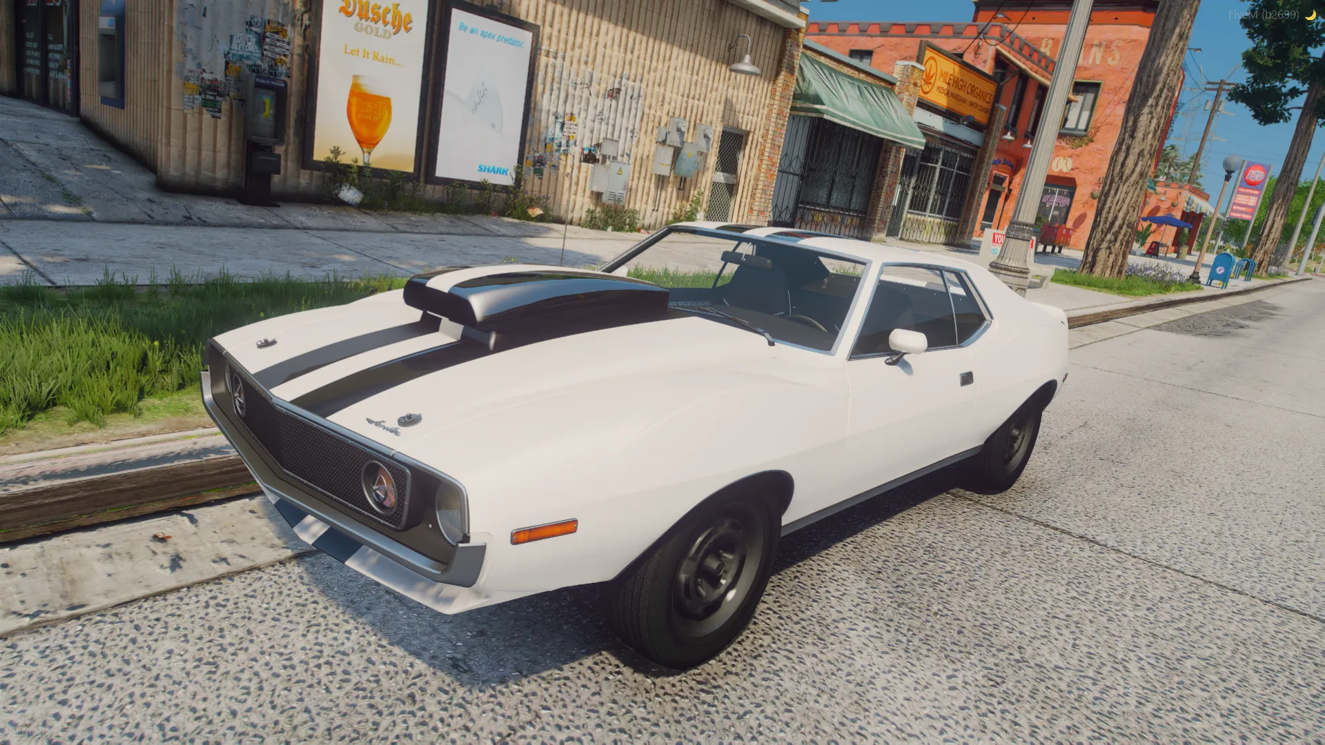 AMC AMX