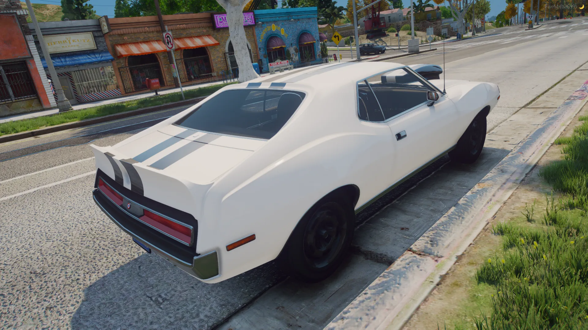 AMC AMX